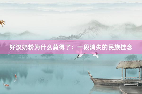 好汉奶粉为什么莫得了：一段消失的民族挂念