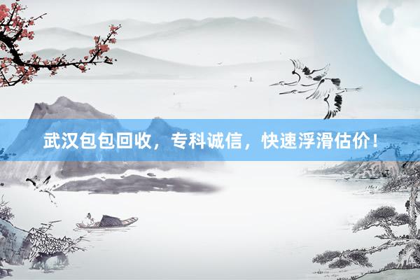 武汉包包回收，专科诚信，快速浮滑估价！