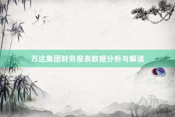 万达集团财务报表数据分析与解读